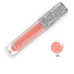 PERFECT LIP GLOSS - Wish BNIB